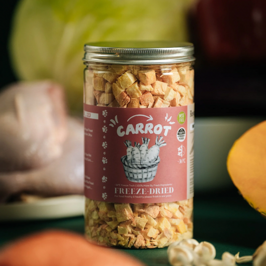 【萝卜冻干】Carrot Freeze Dried