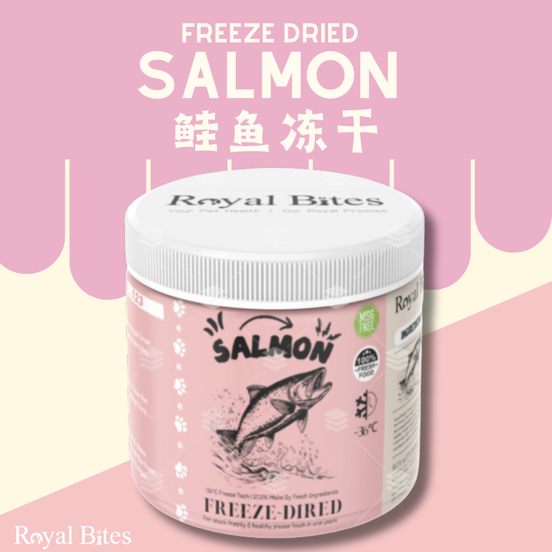 【鲑鱼冻干】Salmon Freze Dried