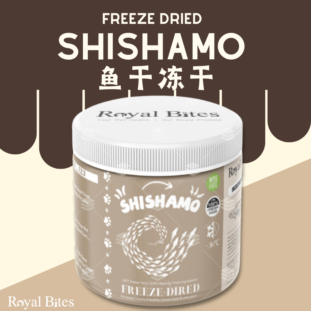 【多春鱼冻干】Shishamo Freeze