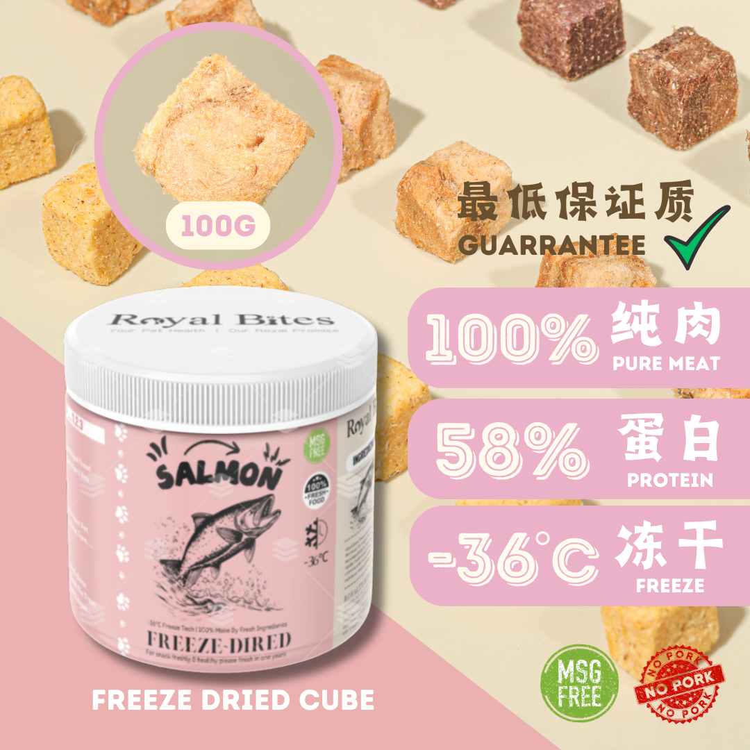 【鲑鱼冻干】Salmon Freze Dried