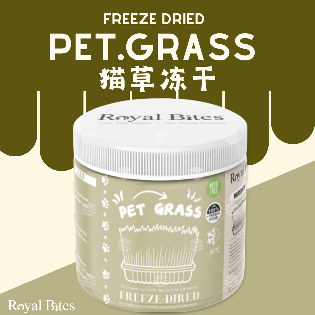 【猫草冻干】Pet Grass Freeze Dries